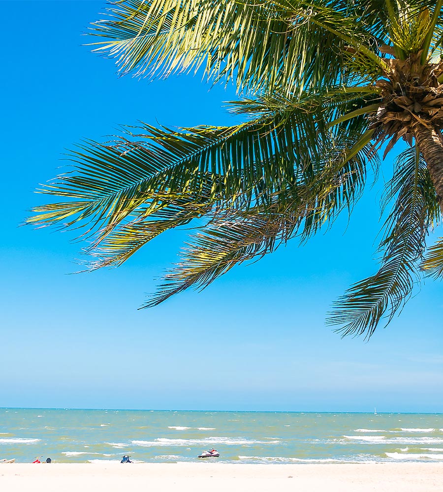 Marbella Lakes Attractions Beach