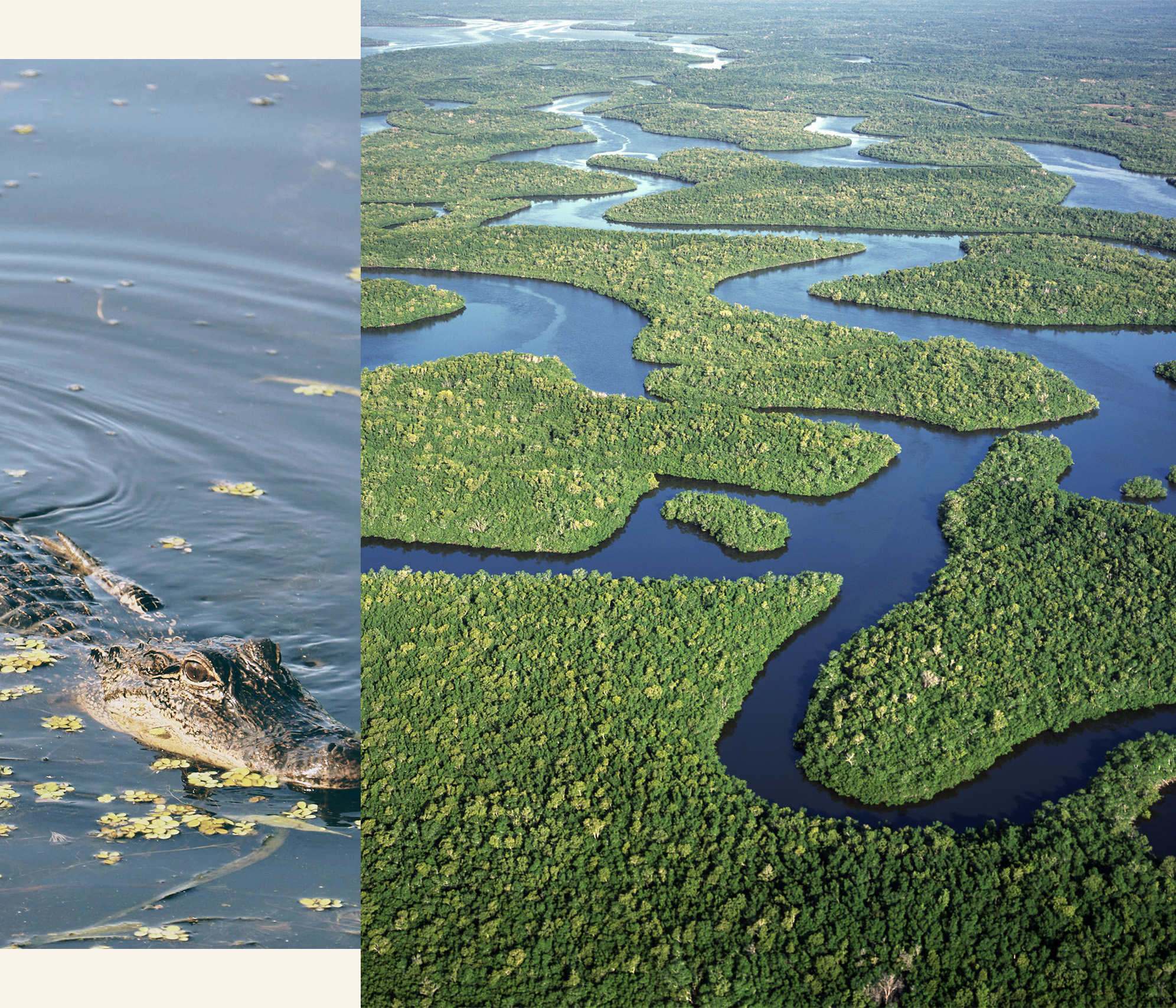 Marbella Lakes Florida Everglades